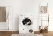 Colectare Deseuri Electrice-Electrocasnice  Centru Colectare DEEE Ilfov - Spending Elements Best Solution SRL