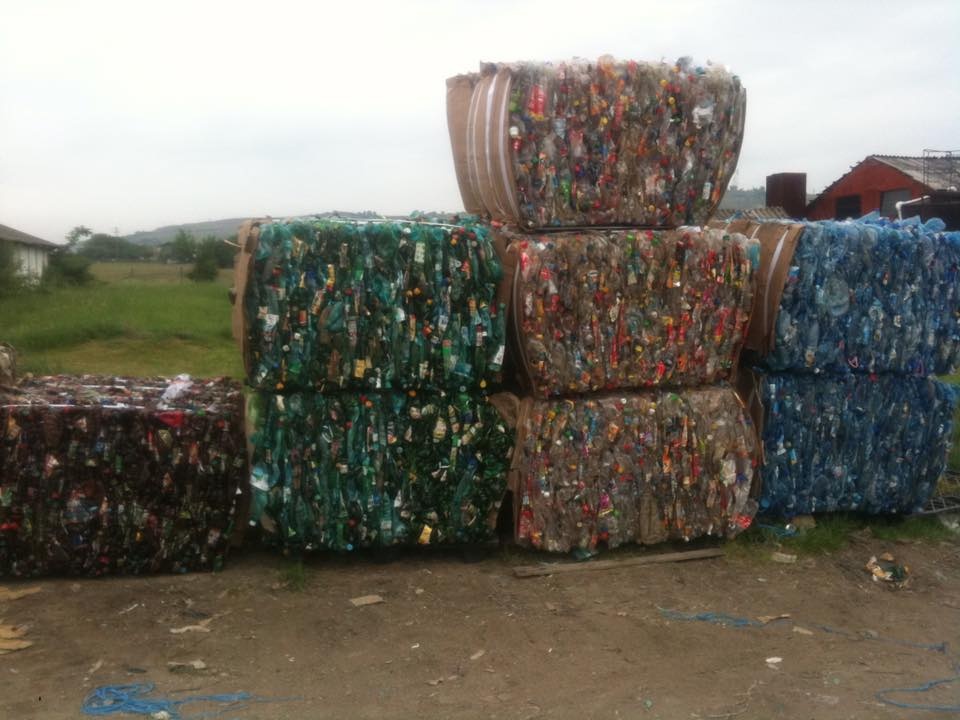colectare deseuri plastic pet-uri baicoi 